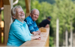 Modalidades de pensi&oacute;n m&aacute;s elegidas en los fondos privados