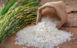 Alimentos retomar&aacute;n sus precios reales a mediados de 2023: Fedearroz