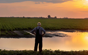 Acciones que deben contemplar los agricultores en temporada de lluvias