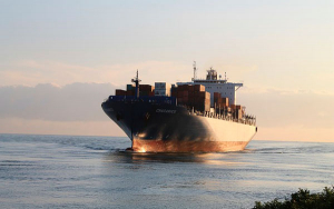 Colombia debe impulsar audazmente la sustituci&oacute;n de importaciones: Acosemillas