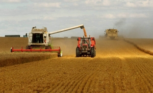 Indice de precios de alimentos registra su mayor ca&iacute;da mensual desde 2008