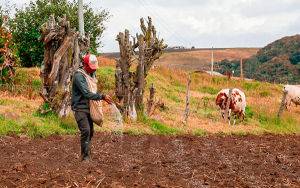 Colombia debe conjurar el problema de informalidad en tierras: Mesa Guerra
