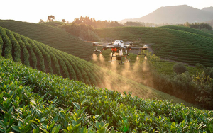 Geopol&iacute;tica impacta mercado de fertilizantes: Timac Agro