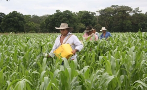 Con cr&eacute;dito de inclusi&oacute;n hay campo para todos: Finagro